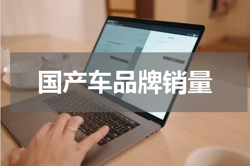 国产车品牌销量