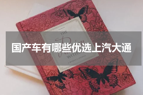 国产车有哪些优选上汽大通