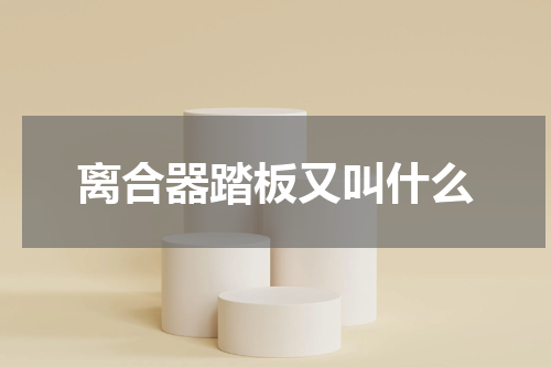 离合器踏板又叫什么