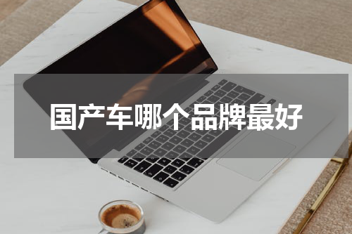 国产车哪个品牌最好