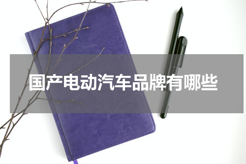 国产电动汽车品牌有哪些