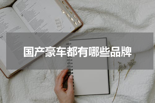 国产豪车都有哪些品牌