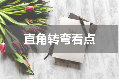 直角转弯看点