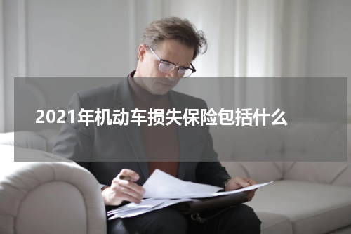 2021年机动车损失保险包括什么