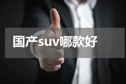 国产suv哪款好