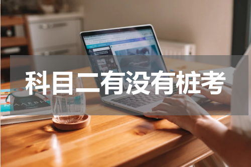 科目二有没有桩考