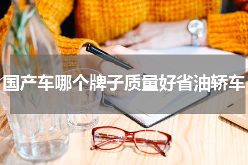 国产车哪个牌子质量好省油轿车