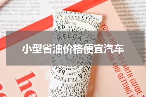 小型省油价格便宜汽车