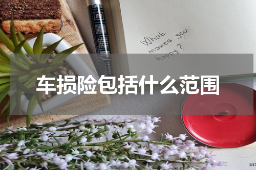 车损险包括什么范围