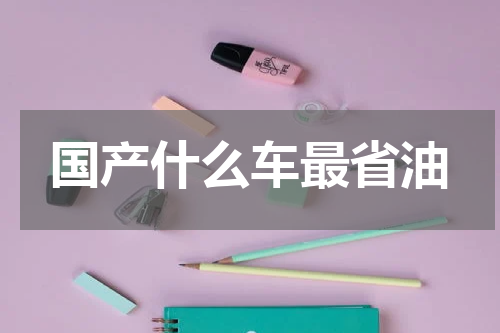 国产什么车最省油