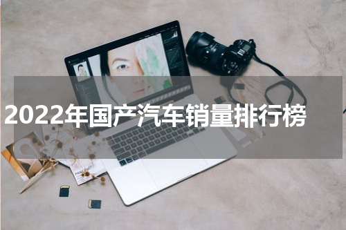 2022年国产汽车销量排行榜