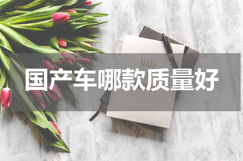 国产车哪款质量好