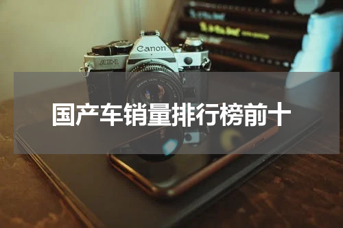 国产车销量排行榜前十