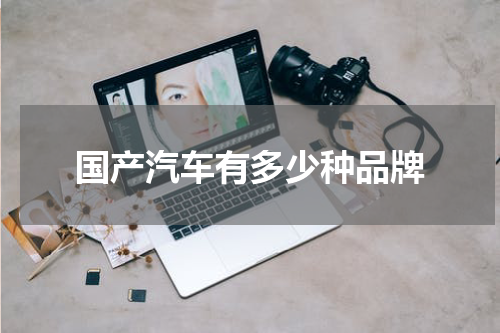 国产汽车有多少种品牌
