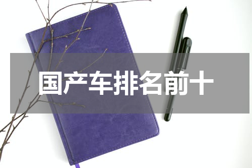 国产车排名前十