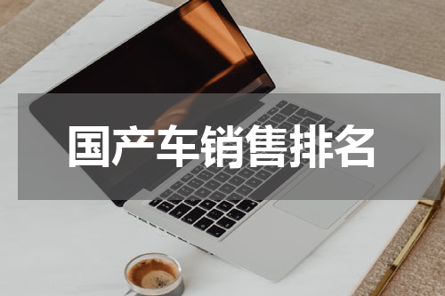 国产车销售排名