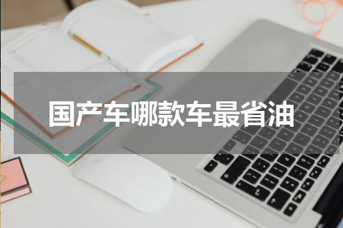 国产车哪款车最省油