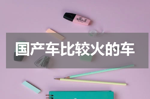 国产车比较火的车