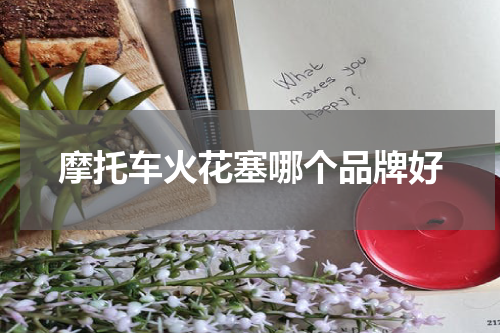 摩托车火花塞哪个品牌好