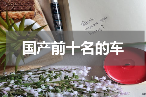 国产前十名的车