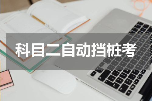 科目二自动挡桩考