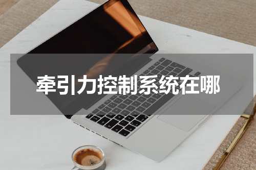 牵引力控制系统在哪