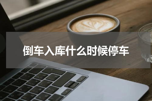 倒车入库什么时候停车