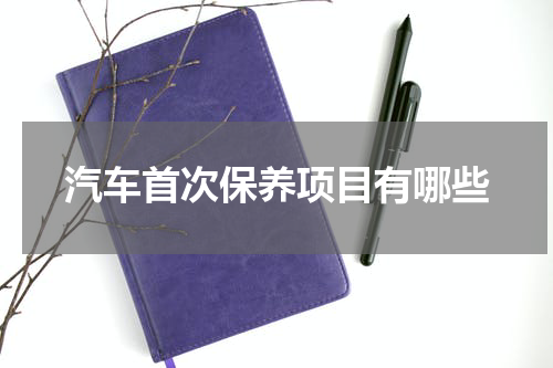 汽车首次保养项目有哪些