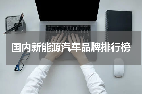 国内新能源汽车品牌排行榜