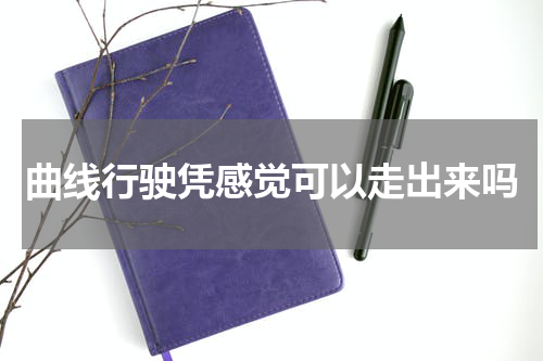 曲线行驶凭感觉可以走出来吗