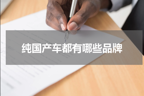 纯国产车都有哪些品牌