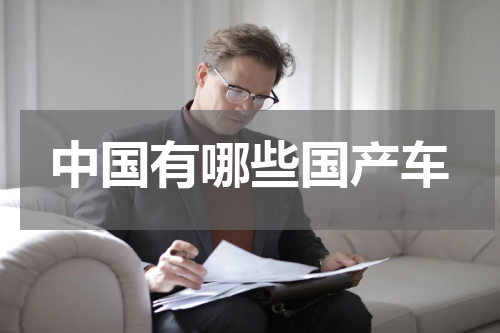 中国有哪些国产车