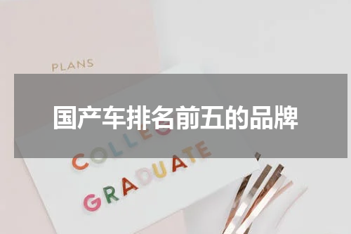 国产车排名前五的品牌