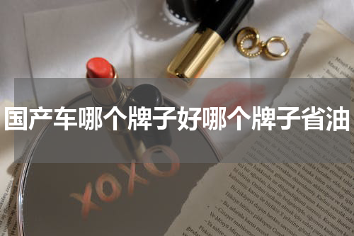 国产车哪个牌子好哪个牌子省油