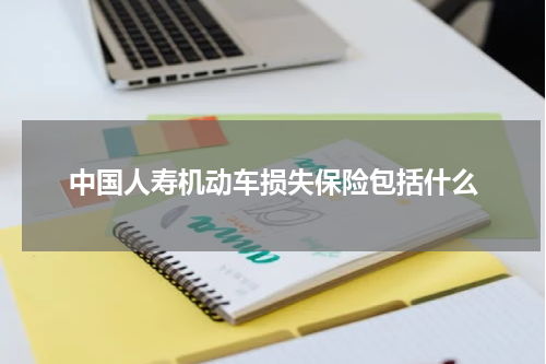 中国人寿机动车损失保险包括什么