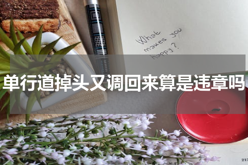 单行道掉头又调回来算是违章吗