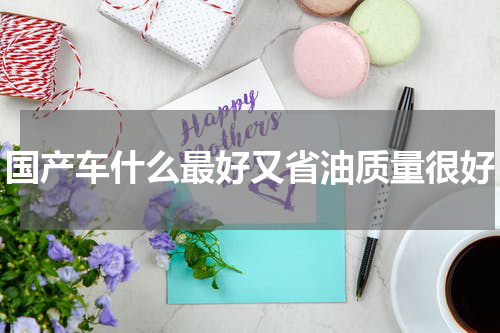 国产车什么最好又省油质量很好