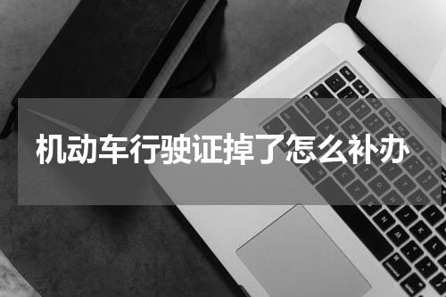 机动车行驶证掉了怎么补办