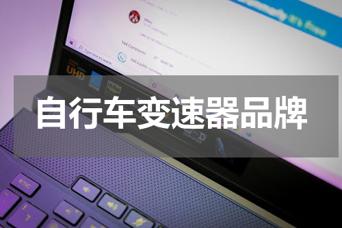 自行车变速器品牌
