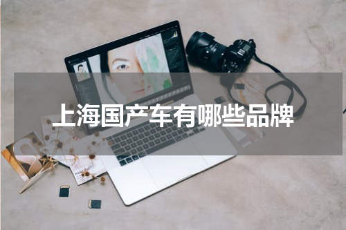 上海国产车有哪些品牌