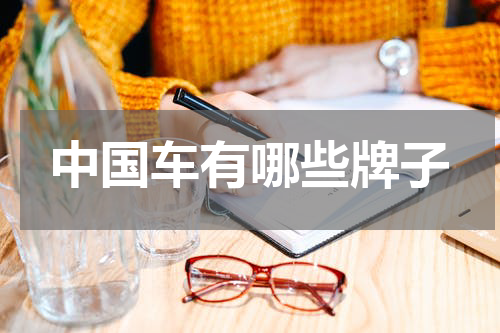 中国车有哪些牌子