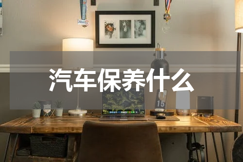 汽车保养什么