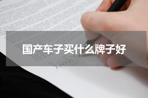 国产车子买什么牌子好