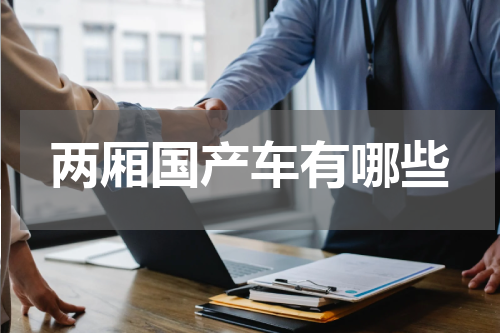 两厢国产车有哪些