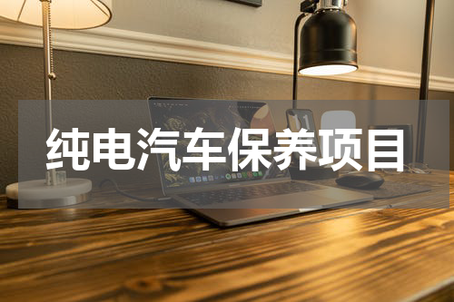 纯电汽车保养项目