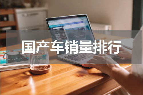 国产车销量排行