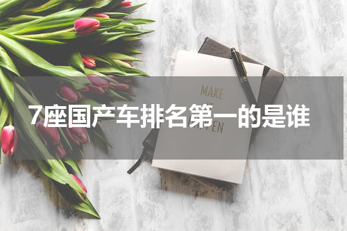 7座国产车排名第一的是谁