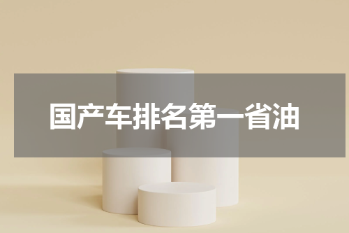 国产车排名第一省油