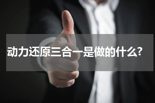 动力还原三合一是做的什么?