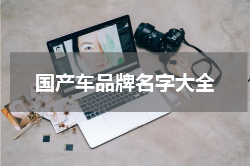 国产车品牌名字大全